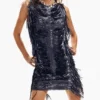 Sequin Fringe Dress