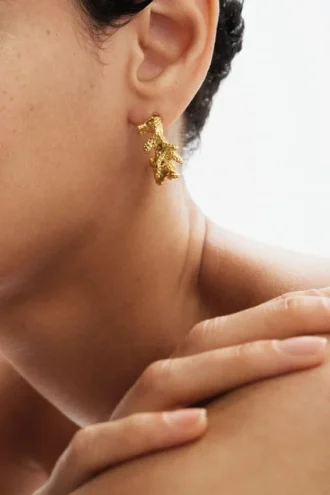 Zalio Gold Plated Earrings